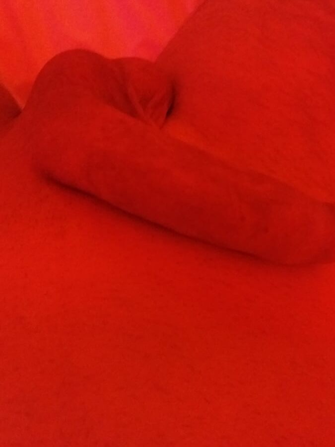 Hotel priamos