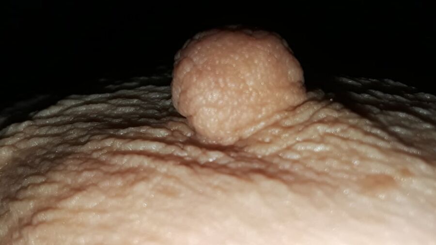 Nips at night