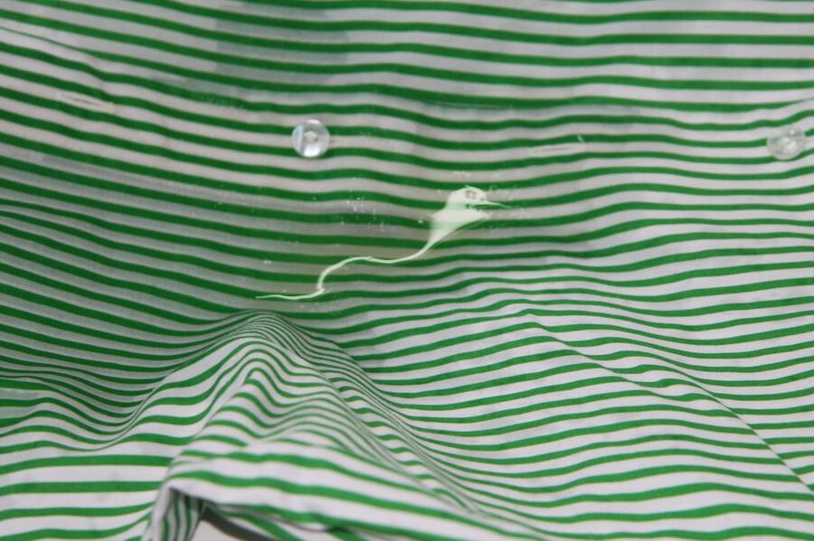 green striped blouse piss