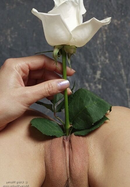 Decorative girls - BDSM