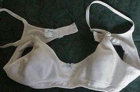 SL stolen pantybra