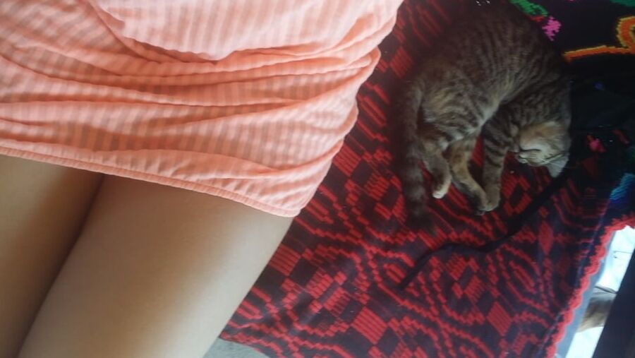 purrfection