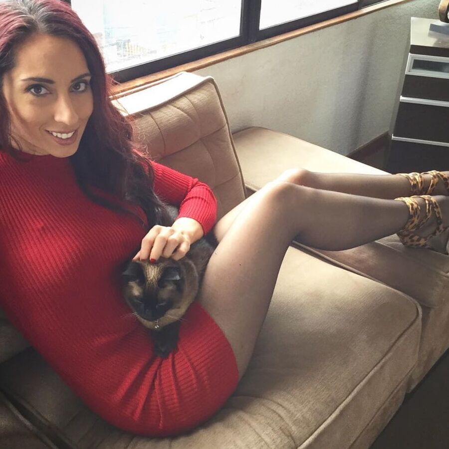 purrfection