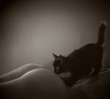 purrfection