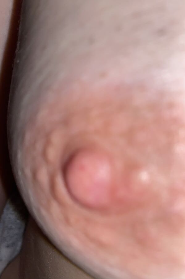 WIFE WHORE TITS!!