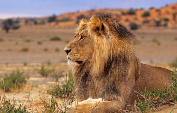 Tolle Girls + Bilder aus South-Africa