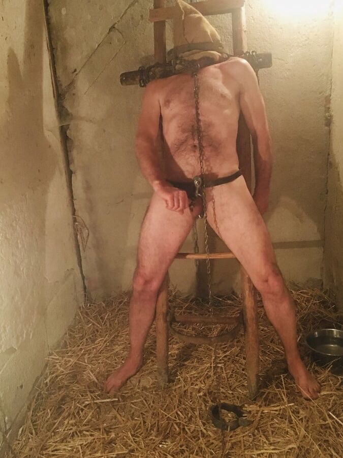 in the stable