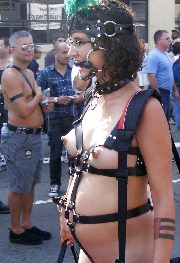 Cute Prego Pony-Girl in Harness at Folsom Street Fair