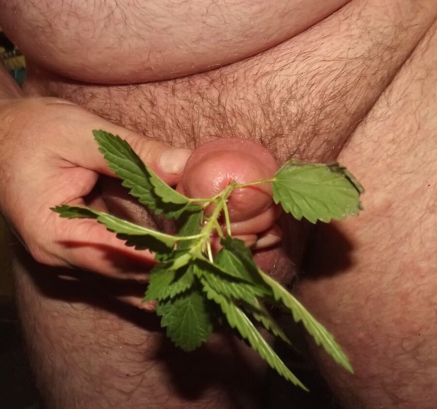 stinging nettles man and women