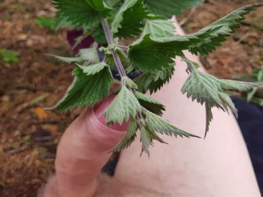stinging nettles man and women