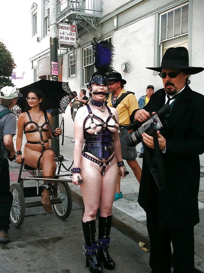 Cute Prego Pony-Girl in Harness at Folsom Street Fair