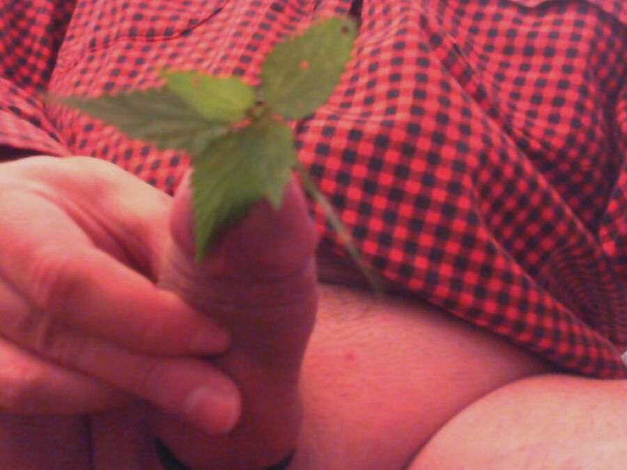 stinging nettles man and women