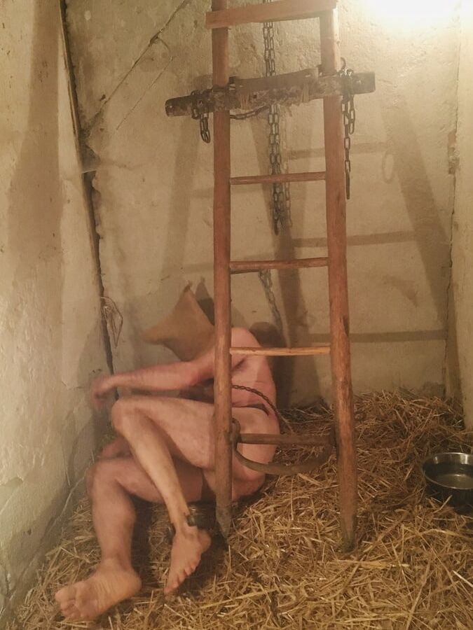 in the stable