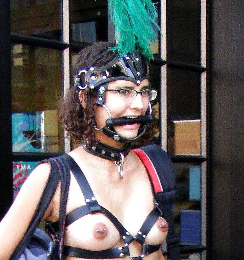 Cute Prego Pony-Girl in Harness at Folsom Street Fair