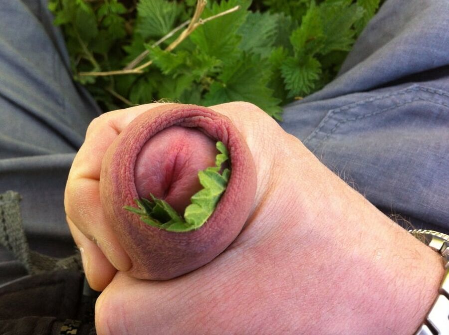 stinging nettles man and women