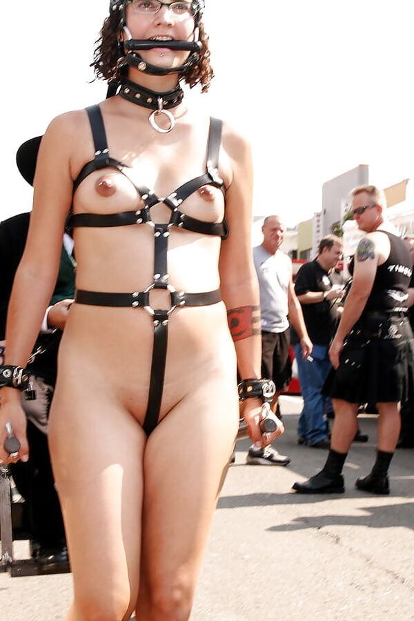 Cute Prego Pony-Girl in Harness at Folsom Street Fair
