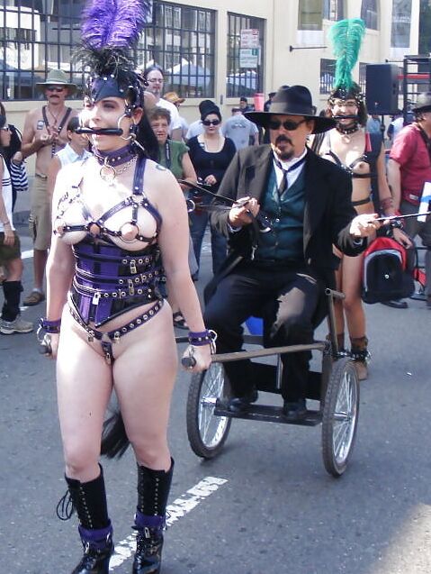 Cute Prego Pony-Girl in Harness at Folsom Street Fair
