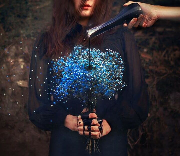Photographs by Reylia S.