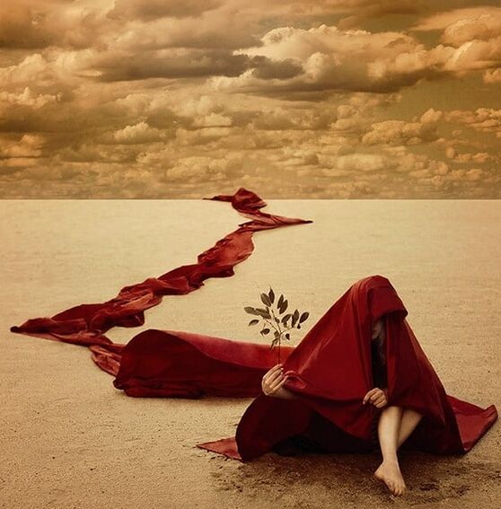 Photographs by Reylia S.