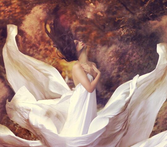 Photographs by Reylia S.