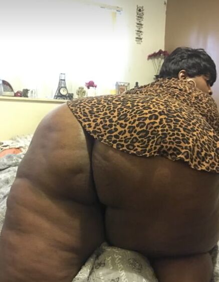 BBW Collection V