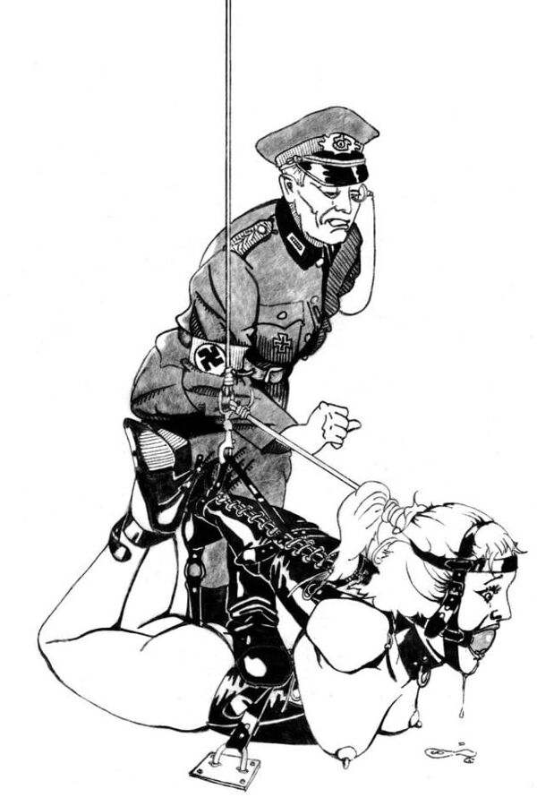 BDSM Toons