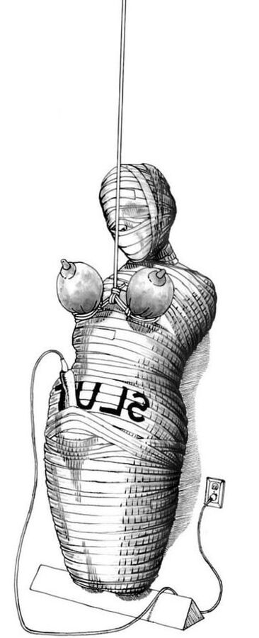 BDSM Toons