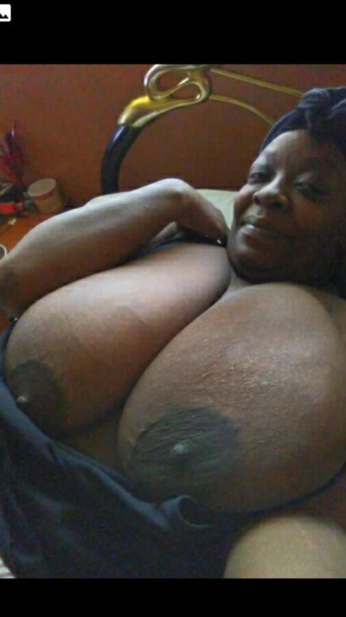 Giant Black HOG BOOTY