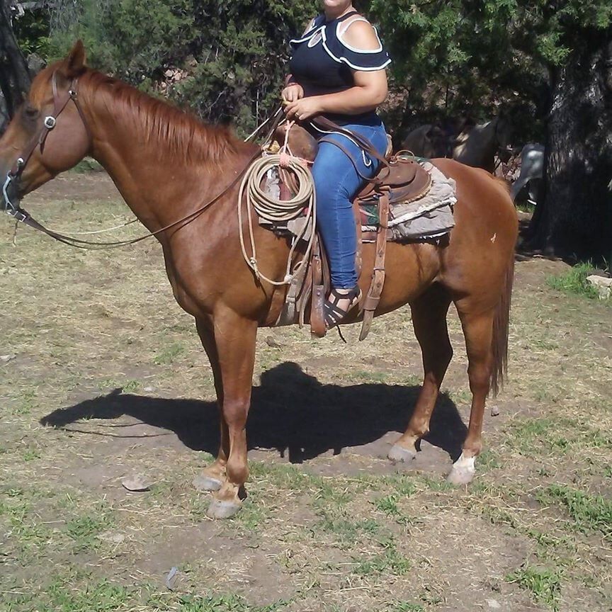 lupita sanchez mexicana cadera grandes