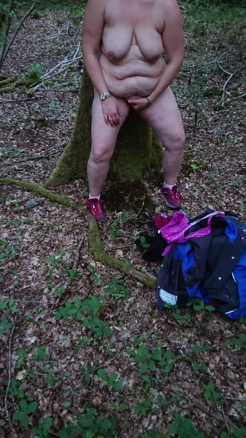 Ballade dans les bois