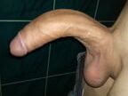 Curved White Cocks