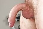 Curved White Cocks