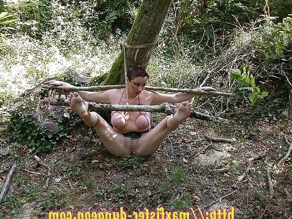 fantastique chienne mary