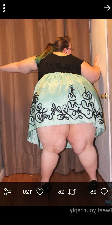 Hoodyman SSBBW . More fat pigs exposed .