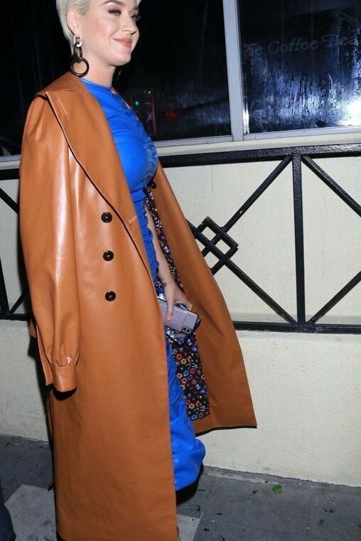 Brown Leather Coat - by RedBull