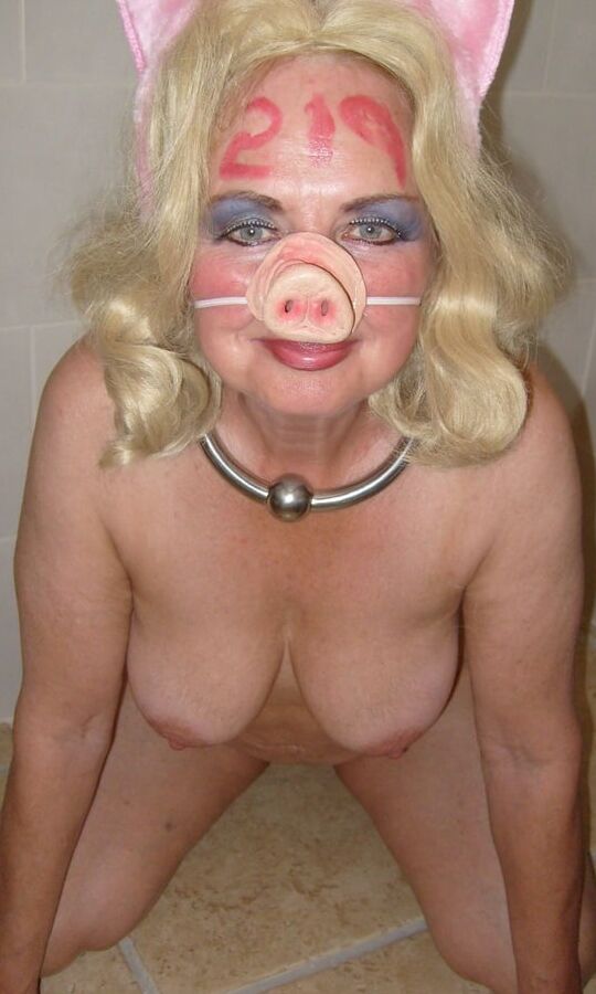 Pig