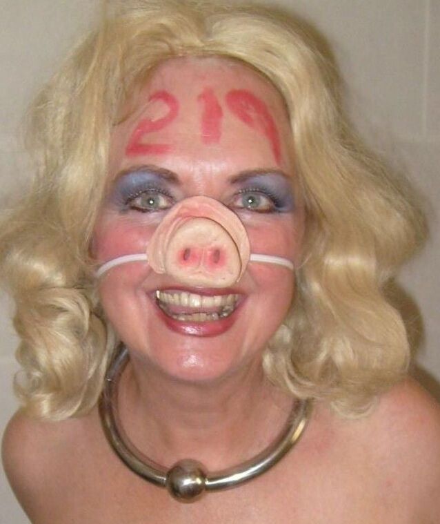 Pig