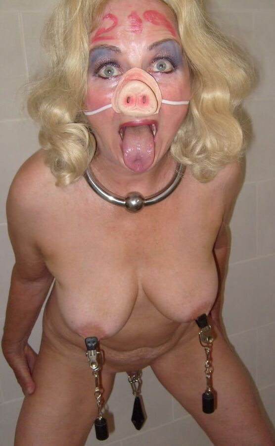 Pig