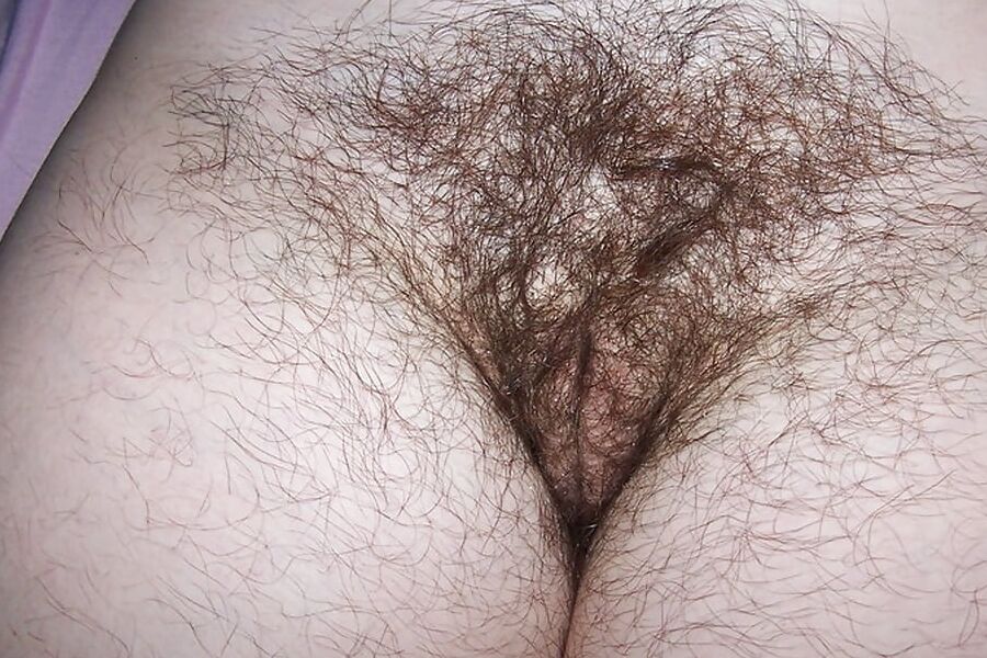 hairy german slut