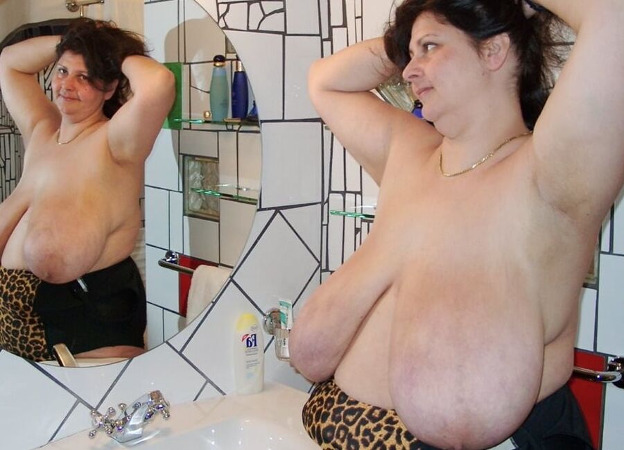 Tits reflecting in a mirror
