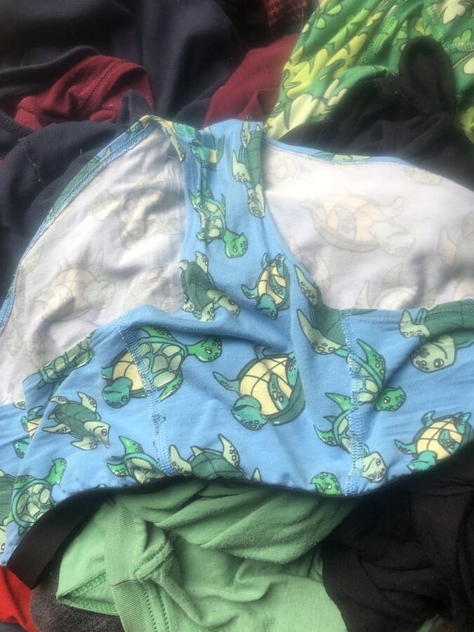More of wifes panties