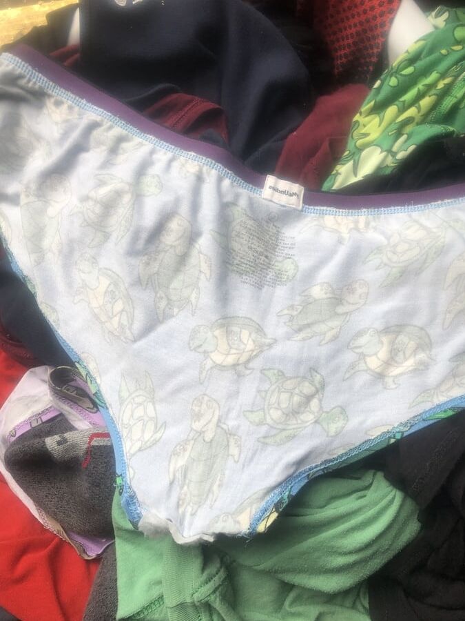 More of wifes panties
