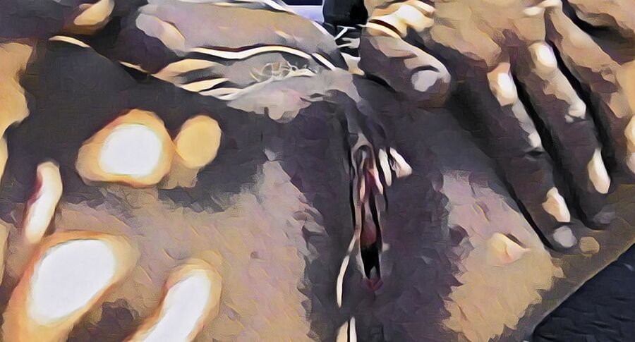 Masturbation in nature... Only for me !!