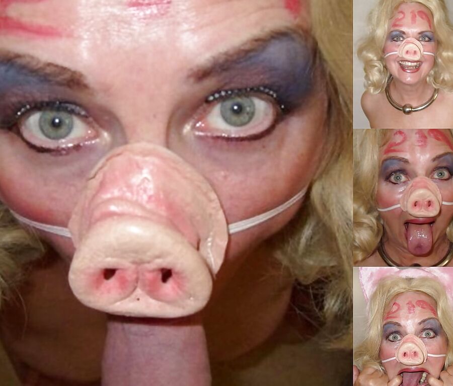 Pig