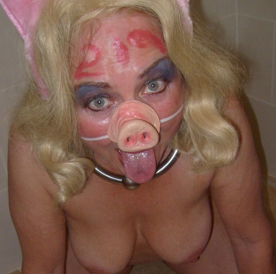 Pig