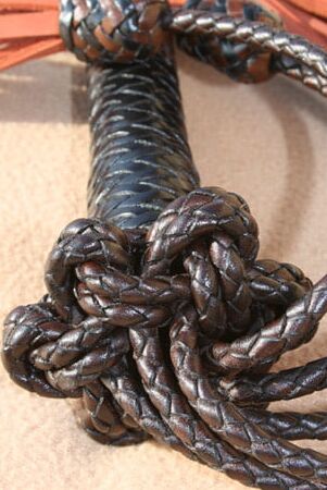 Roraima. Multi-tail flogger