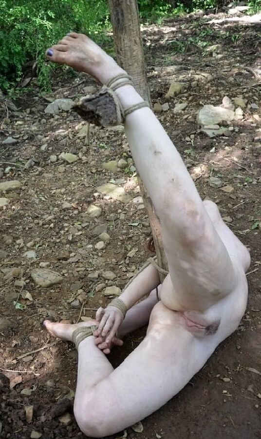 waste meat
