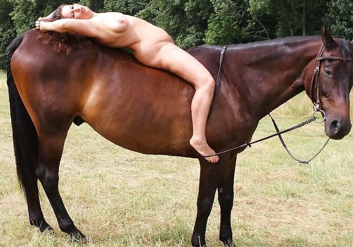 back in the saddle