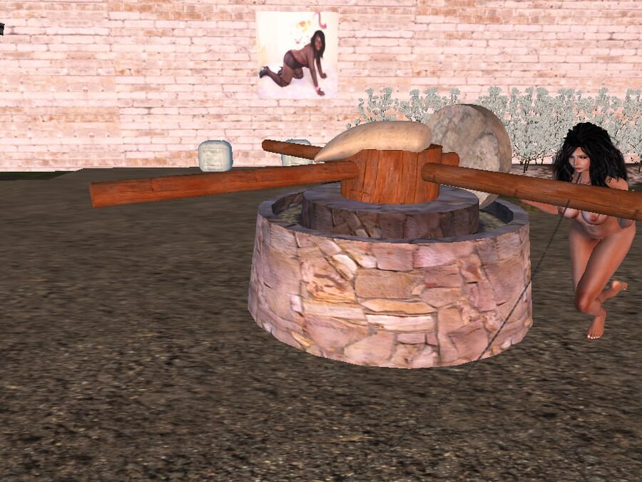 SL Slaves Hard Working