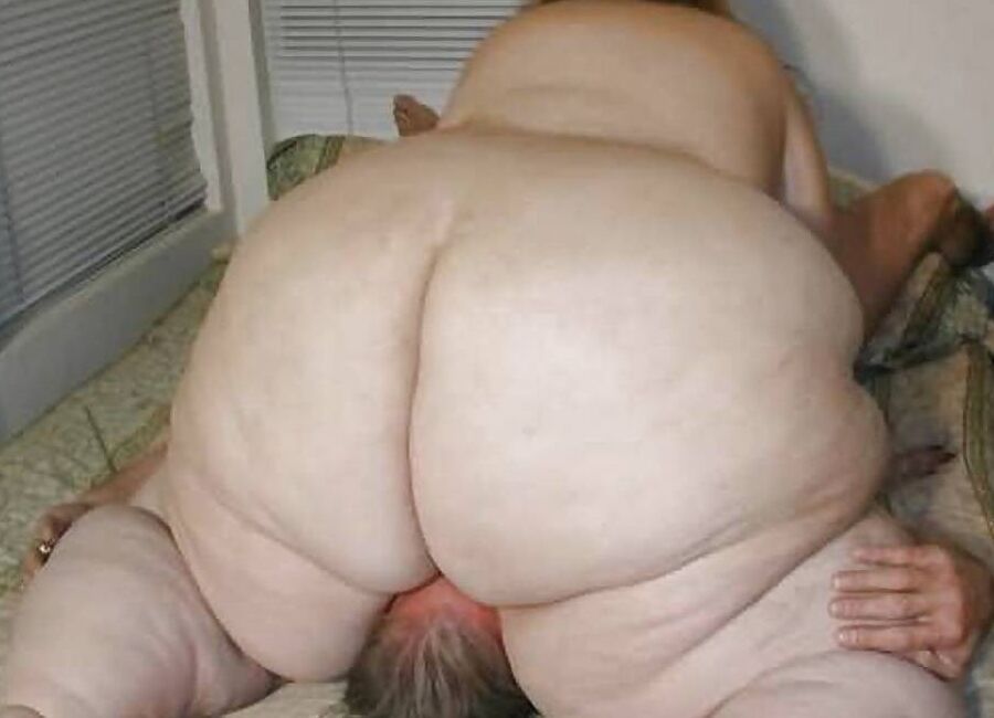 Marranas obesas y calientes